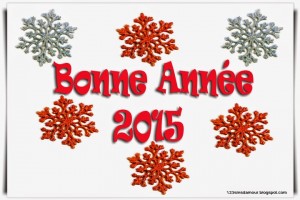 Message_Bonne_Ann_e_2015_